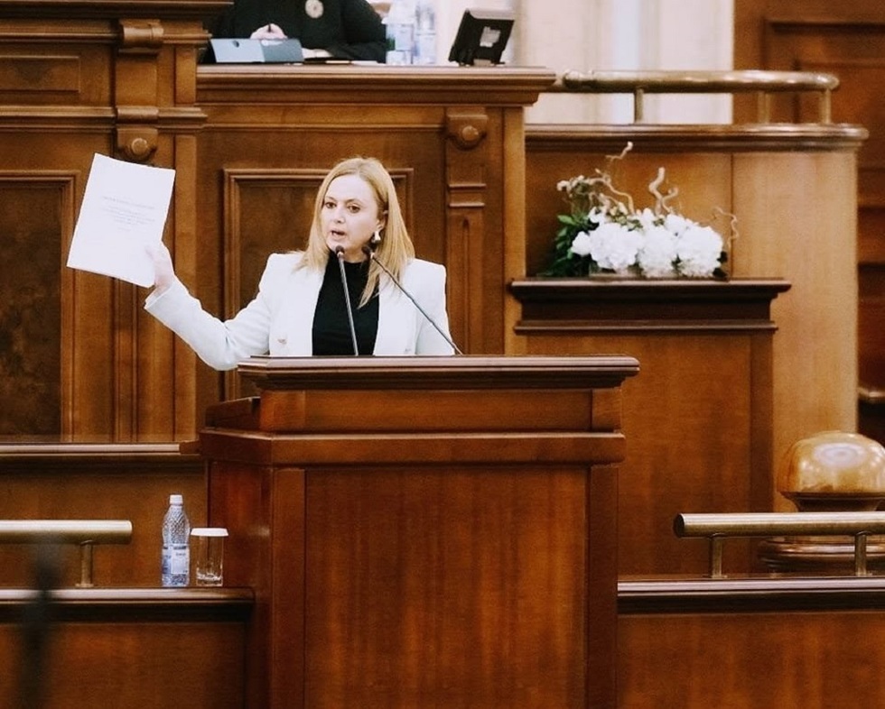 Consultări la Cotroceni. Cosmina Cerva(PACE): „Cei care au venit la consultări încă n-au înţeles pe deplin situaţia foarte gravă în care este România”