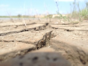 Climatologul Roxana Bojariu: Va trebui să trecem prin transformări extraordinare în anii şi deceniile care vin. Rezerva de apă din sol nu se reface suficient, pentru că precipitaţiile intense fac ca apa să se scurgă de pe suprafeţe