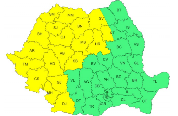 Cod galben de furtuni, în Banat, Crişana, Maramureş, cea mai mare parte a Transilvaniei şi local în Oltenia şi la munte