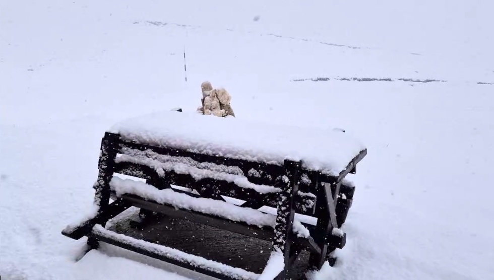 Săptămâna 24 februarie - 3 martie, ultima cu temperaturi mai mici decât cele obişnuite. Ce urmează