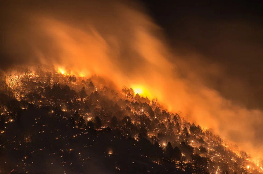 VIDEO - Peste un milion de hectare de păduri, cuprinse de incendii în Rusia. Imaginile filmate de localnici