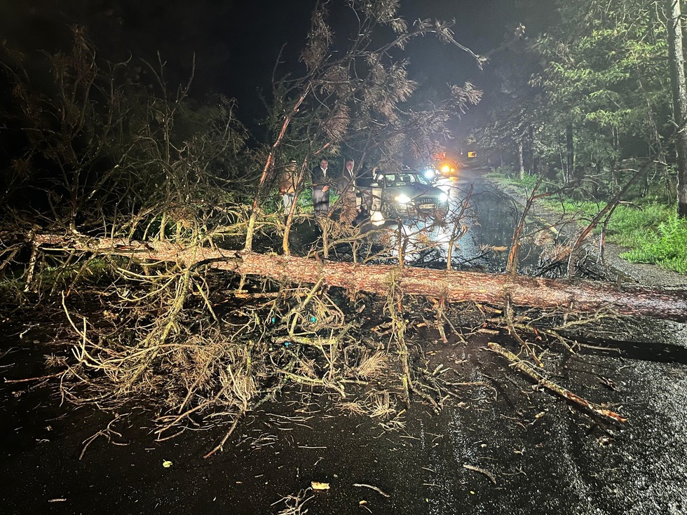 Vreme extremă în România. 6.014 persoane din 28 de localităţi, evacuate. Maşini şi imobile distruse de copacii căzuţi. Circulaţia maritimă şi fluvială suspendată