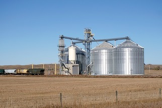 Ministrul Agriculturii: Importurile de cereale din Ucraina şi Republica Moldova vor fi permise doar fermierilor şi procesatorilor români şi vor fi posibile doar pe bază de licenţă