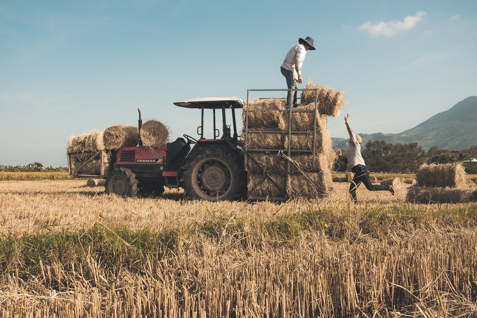 Guvernul ia măsuri pentru a susţine financiar agricultorii cu producţii afectate masiv de secetă