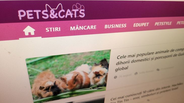 G4media lansează un nou proiect, Pets&Cats. „Este un potenţial de business foarte mare”