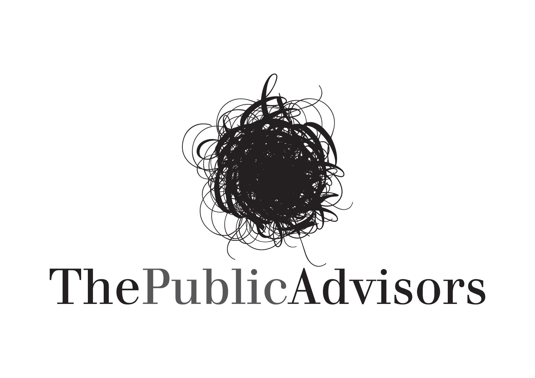 Logo The Public Advisors