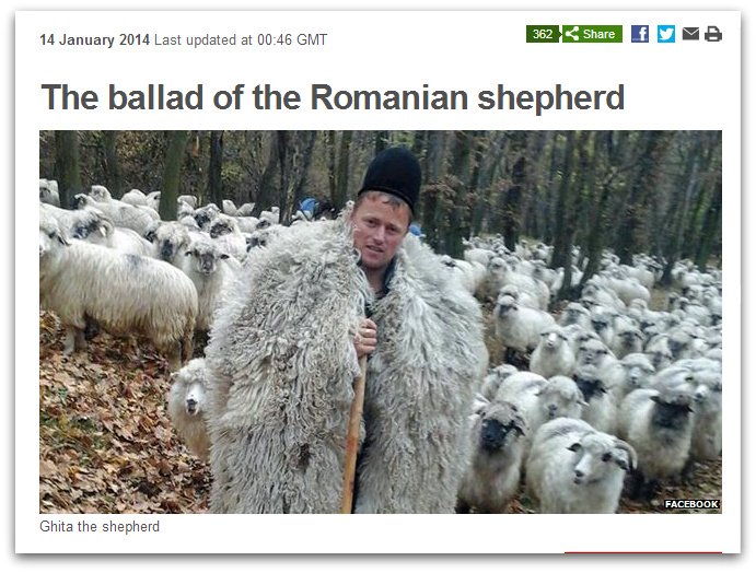 ghita ciobanul bbc