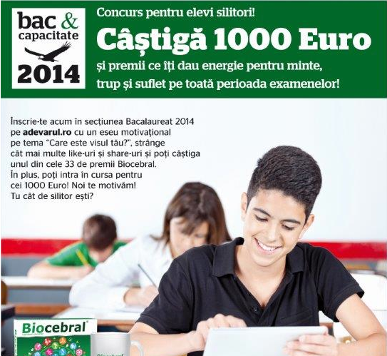 PE SCURT. Adevărul dă meditaţii pentru Capacitate şi Bacalaureat
