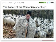 VIDEO. Ghiţă Ciobanul, cea mai eficientă campanie a anului, la Gala Effie.  Două trofee de aur pentru campania Gândul - Why don't you come over