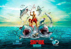 Discovery, parteneriat cu Prima TV pentru Shark Week. Programele speciale cu rechini vor fi pe Discovery, Animal Planet si Prima TV