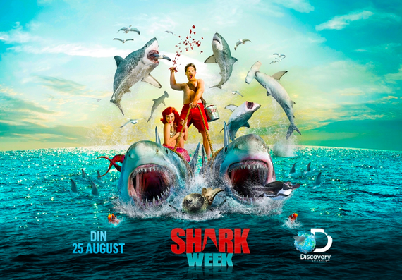 Discovery, parteneriat cu Prima TV pentru Shark Week. Programele speciale cu rechini vor fi pe Discovery, Animal Planet si Prima TV