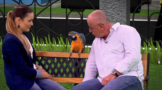 Digi Animal World lansează prima emisiune, producţie proprie. Programul este prezentat de Bogdan Uritescu