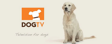 Dog TV, televiziunea dedicată câinilor, se extinde în Europa