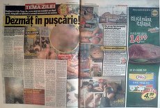 DERAPAJ. Noua Libertatea, acum şi cu foto porno-gay. Ziarul, imagini cu puşcăriaşi întreţinând relaţii sexuale