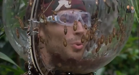 REALITY SHOW. Pro TV va face o emisiune în Africa de Sud: I’m a celebrity, get me out of here