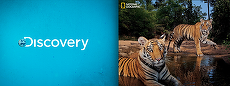 Concurenţi în programe, aliaţi în publicitate: Discovery şi National Geographic îşi vând publicitatea la comun