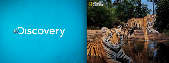 Concurenţi în programe, aliaţi în publicitate: Discovery şi National Geographic îşi vând publicitatea la comun