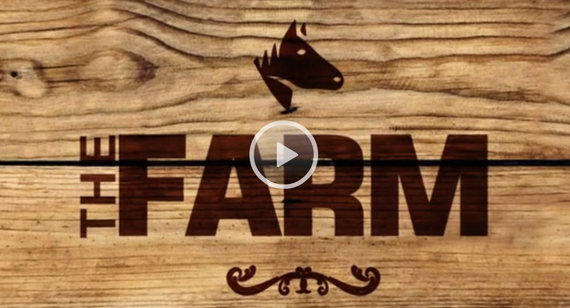 Pro TV a cumpărat franciza The Farm, un reality-show precum Big Brother, dar la fermă