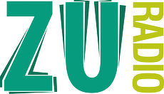 Grupul Media Camina solicită prelungire pentru licenţa Radio ZU Piteşti