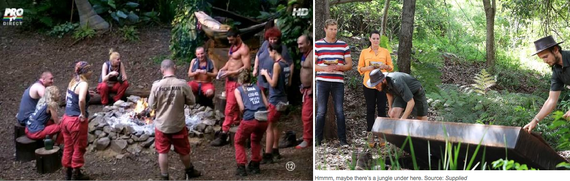 FOTO & VIDEO. „Sunt celebru scoate-mă de aici", luat la bani mărunţi: Jungla nu e junglă