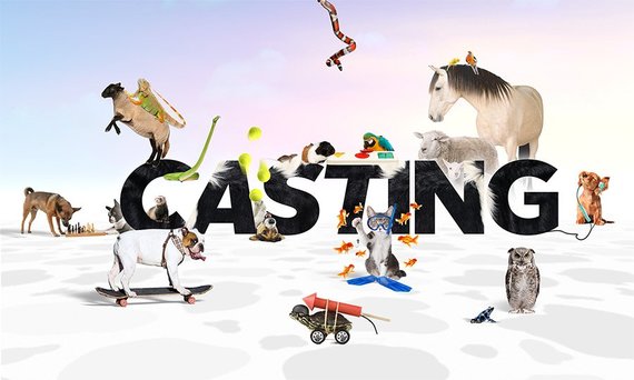 Animalele au talent. Antena 1 vrea să facă un show cu animale