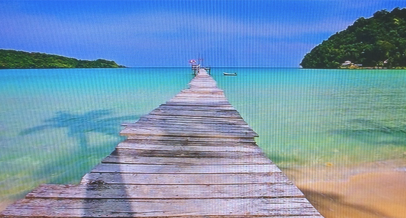 VIDEO. UPC a trecut la relaxarea de vară: de la verdeaţă şi albinuţe, la valuri şi pescăruşi