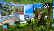 VIDEO. Ce audienţe a făcut prima ediţie a Ştirilor Pro TV în noua formulă şi cum a ajuns un elefant în studioul Andreei Esca