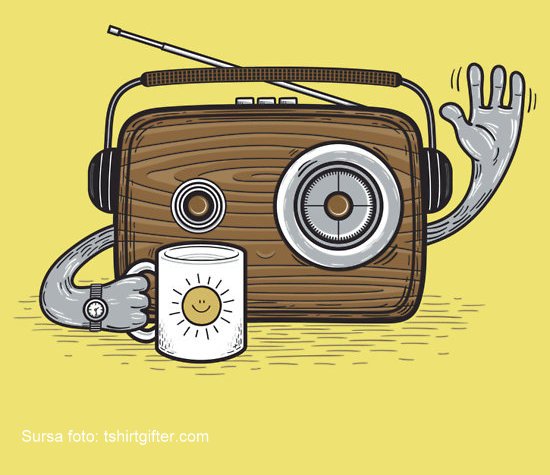 ŢARA LUI PĂCALĂ. Un deputat vrea să pună subtitrare şi pe programele RADIO, nu numai pe TV. Un proiect cu posturile în limba maghiară ca ţintă