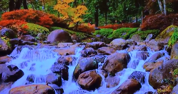 VIDEO. A venit toamna şi pe canalul UPC: râuri repezi şi frunze cafenii pentru relaxarea abonaţilor