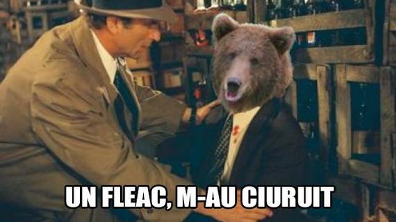 Sibiul şi autorităţile, ţinta ironiilor pe internet, după cazul ursului împuşcat: „Un fleac, m-au ciuruit”