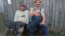 Las Fierbinţi, subtitrat în română? Proiect de lege: filmele şi serialele româneşti vor fi subtitrate. De ce?