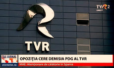 Înregistrările cu şefa TVR Doina Gradea au ajuns subiect de ştire chiar în jurnalele de la TVR