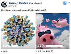 Sondaj Discovery, la câteva zile afirmaţiile Oliviei Steer. Rujeola sau Porcii Zburători? Una dintre ele nu există