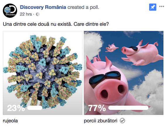 Sondaj Discovery, la câteva zile afirmaţiile Oliviei Steer. Rujeola sau Porcii Zburători? Una dintre ele nu există