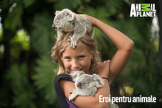 O nouă emisiune pe Animal Planet, în premieră mondială: Eroi pentru animale