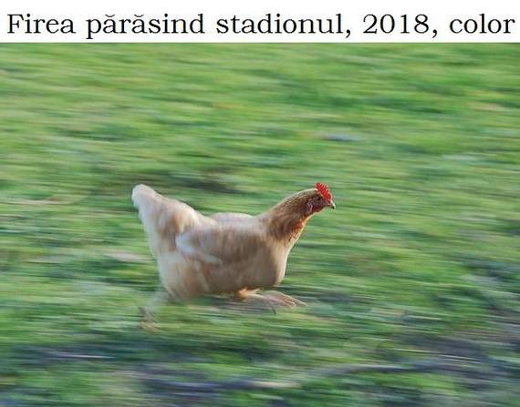 A plouat cu glume pe seama Gabrielei Firea: „A fugit de pe stadion cu o viteză mai mare decât serviciul lui Nadal”