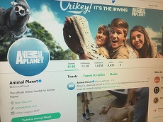 Animal Planet îşi schimbă „blana”. Cum arată noul logo al postului TV?