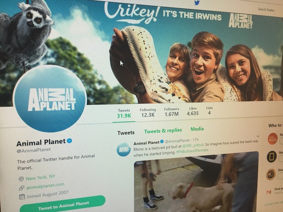 Animal Planet îşi schimbă „blana”. Cum arată noul logo al postului TV?