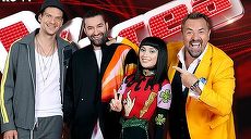 Vocea României, premiera în prima parte a lunii septembrie. Când începe