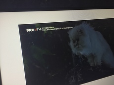 Pro TV, logo schimbat pentru o zi. „Punctul” s-a transformat într-o inimă de Ziua Mondială a Televiziunii