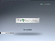 ŞTIREA SERII. TVR vrea să reînvie TVR Cultural şi TVR Info