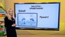 Iniţiativă TVR. Lansează cursuri de limba româna pentru refugiaţii ucraineni, în emisiunea Teleşcoala