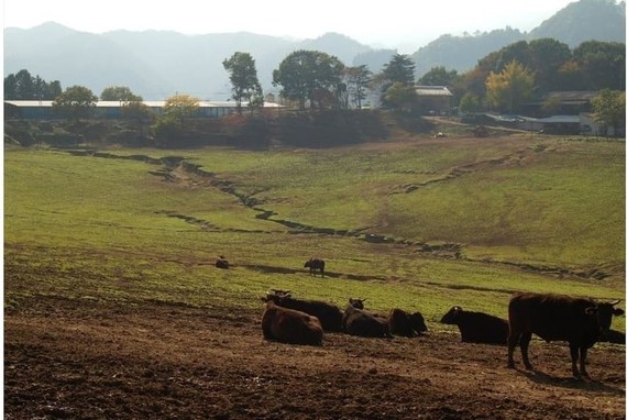 Fukushima: Natura din zona de pericol - un documentar în premieră la Viasat Nature