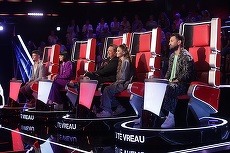 Istoria juriilor de la Vocea României. Ce artişti au fost antrenori în competiţia muzicală de la Pro TV de-a lungul timpului?