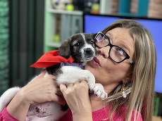 Povestea căţeluşilor din podcastul Ioanei Cosma: „Vor şi ei o casă şi stăpâni iubitori”. Cum se pot adopta?