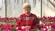 Dana Constantinescu aduce un nou sezon al emisiunii „În grădina Danei” la TVR 1