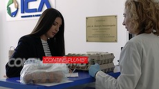 Începe un nou sezon al campaniei Observator Ce ne puneţi în mâncare. Riscul toxic din vopseaua pentru ouăle de Paşte, primul subiect