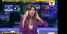 Denise Rifai, de neoprit. CNA a suspendat şedinţa ca să o potolească. Confruntare pe tema Mircea Badea. „Vreau doar să-l opriţi pe omul acesta”