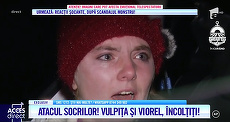 Cât i-a „costat” Vulpiţa pe cei de la Antena 1. Acces Direct, amendă-record pentru o lună de emisiuni cu circul Vulpiţei