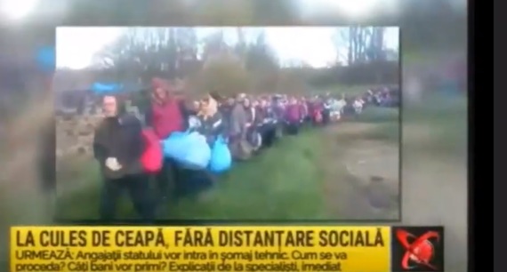 Şi Realitatea somată pentru fake-ul cu „românii la cules de ceapă”. Pentru imaginile vechi a fost penalizată şi România TV